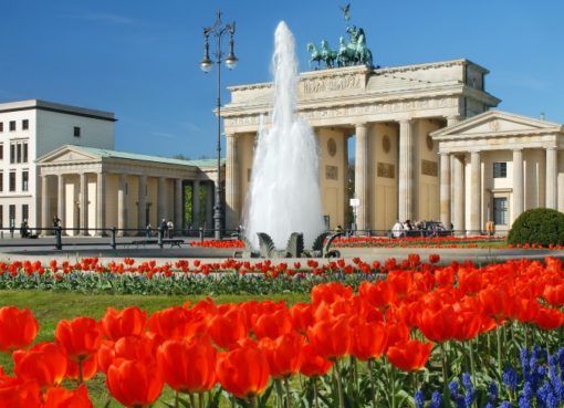 Brandenburger Tor mit Tulpen