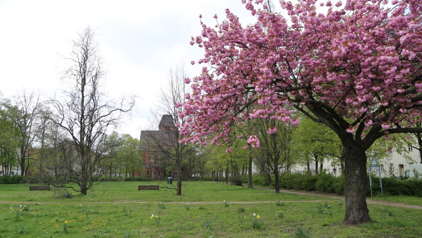 Grazer Platz mit Nathanael-Kirche