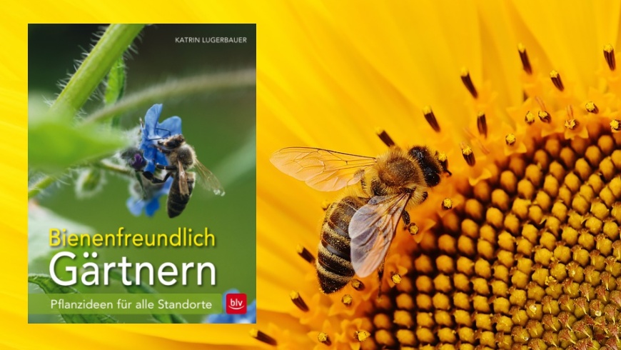 Katrin Lugerbauer: Bienenfreundlich Gärtnern