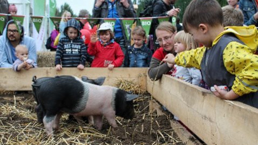 BioSpielBauernhof auf dem Umweltfestival