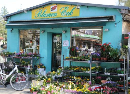 Blumen Eck in Lichtenrade