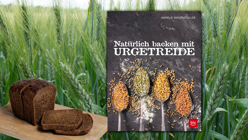 Foto: Collage © Anzeigio, Buchcover © blv Buchverlag