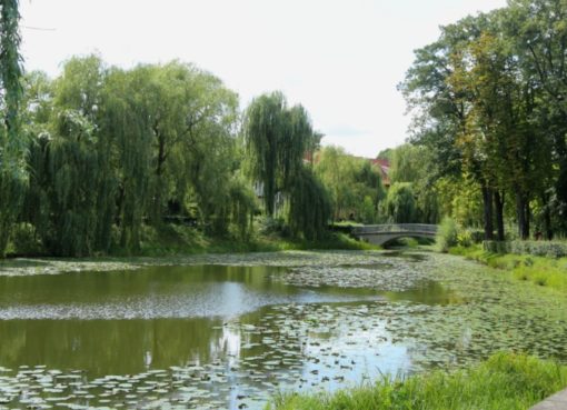 Lindenhofteich