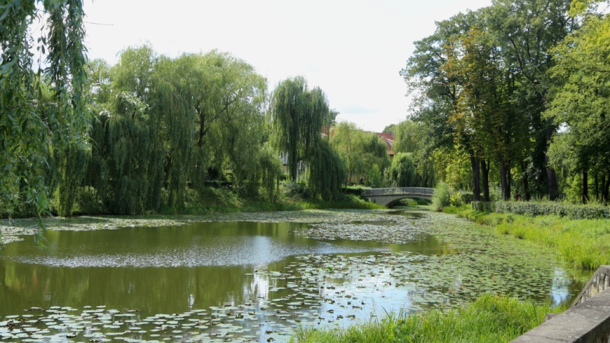 Lindenhofteich