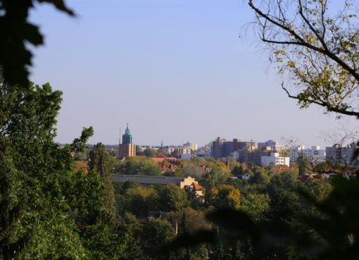 Blick von der Marienhöhe