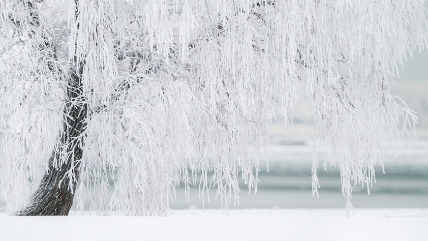 Park im Winter