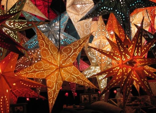 Advents- und Weihnachtssterne auf einem Weihnachtsmarkt in Tempelhof-Schöneberg