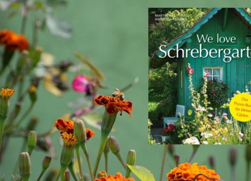 "We love Schrebergarten!"