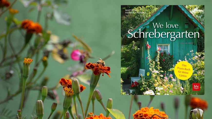 "We love Schrebergarten!"