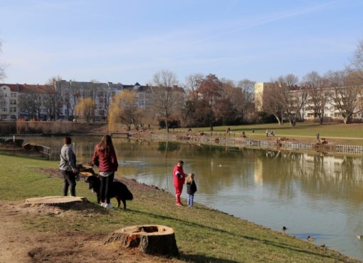 Blümelteich wird saniert