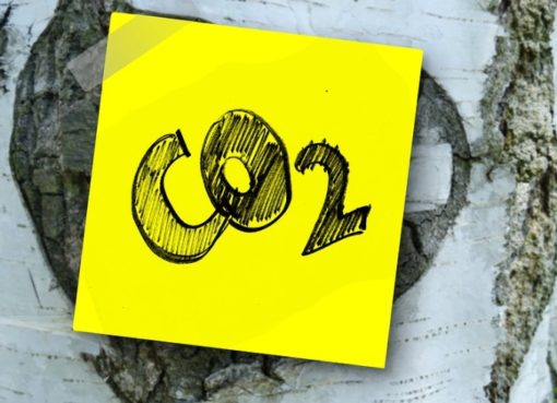 Welche CO2-Steuer kommt?