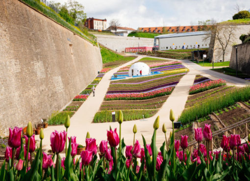 Erfurter Gartenschätze im Festungsgraben