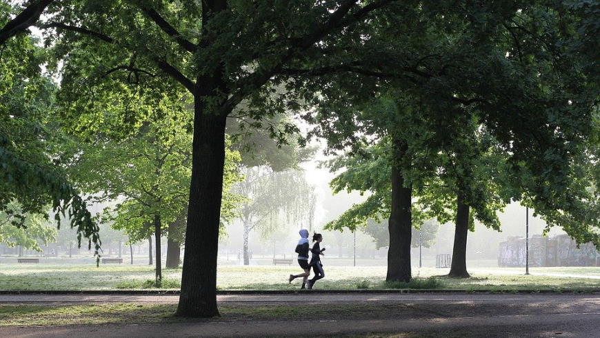 Joggen im Park