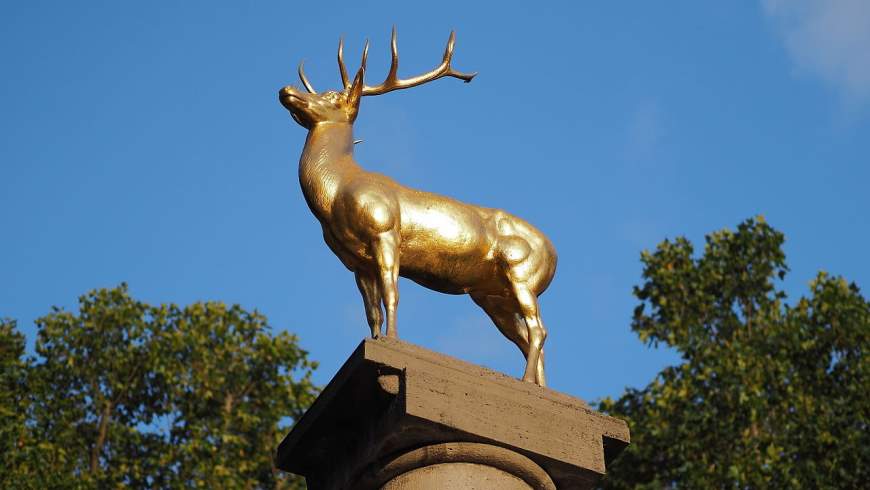 Goldener Hirsch auf dem Hirschbrunnen