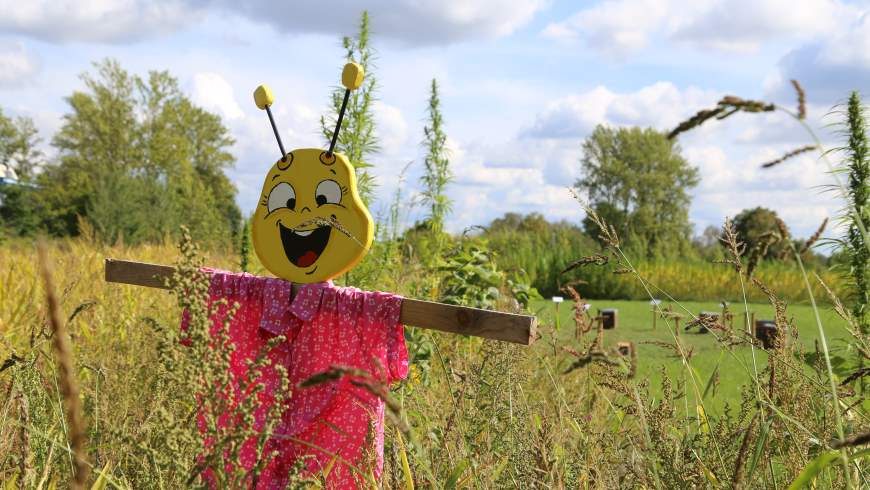 BfR-Nektar-Hektar — ein erlebnispädagogischer Lehrpfad mit Pflanzenlabyrinth zum Thema Bienen und Honig - Foto: © Michael Springer