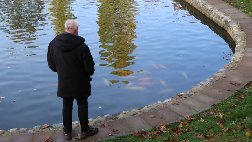 Koi-Karpfen im Blümelteich