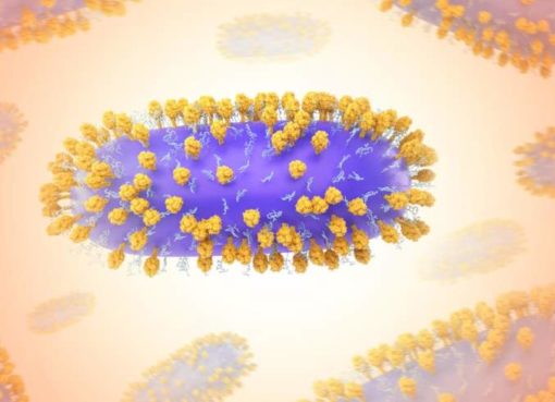 Humanes Respiratorischen Synzytialvirus (RSV)