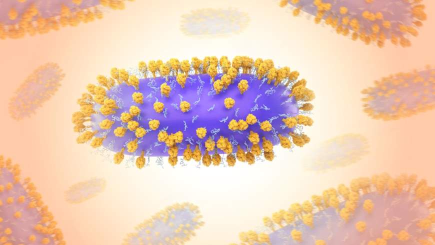 Humanes Respiratorischen Synzytialvirus (RSV)