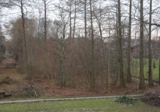 Sumpfgarten im Volkspark Mariendorf