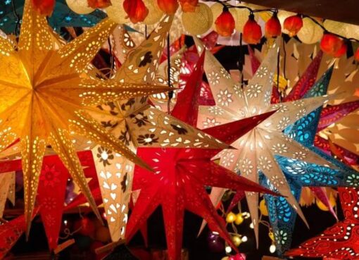 Advents- und Weihnachtssterne auf einem Weihnachtsmarkt in Tempelhof-Schöneberg