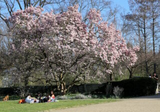 Frühling im Volkspark