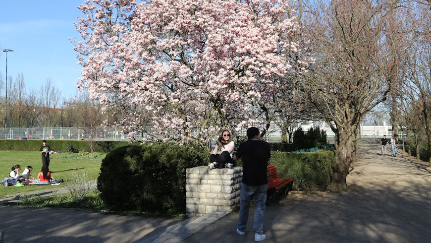 Frühling im Volkspark
