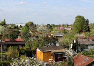 Berliner Kleingärten