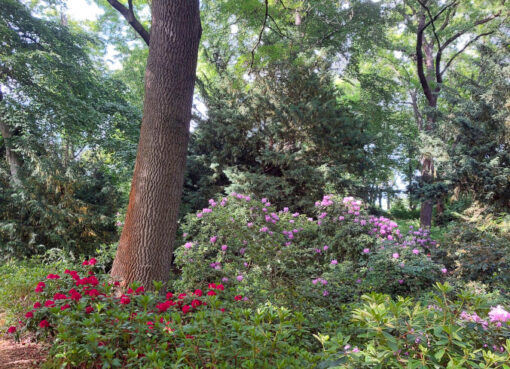 Der Theodor-Franke-Park bietet im Sommer viele schattige Plätzchen