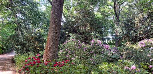 Der Theodor-Franke-Park bietet im Sommer viele schattige Plätzchen