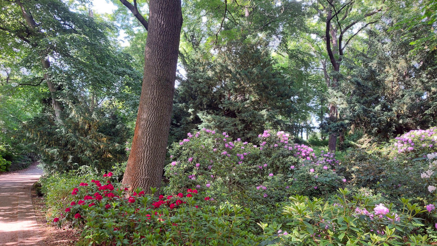 Der Theodor-Franke-Park bietet im Sommer viele schattige Plätzchen