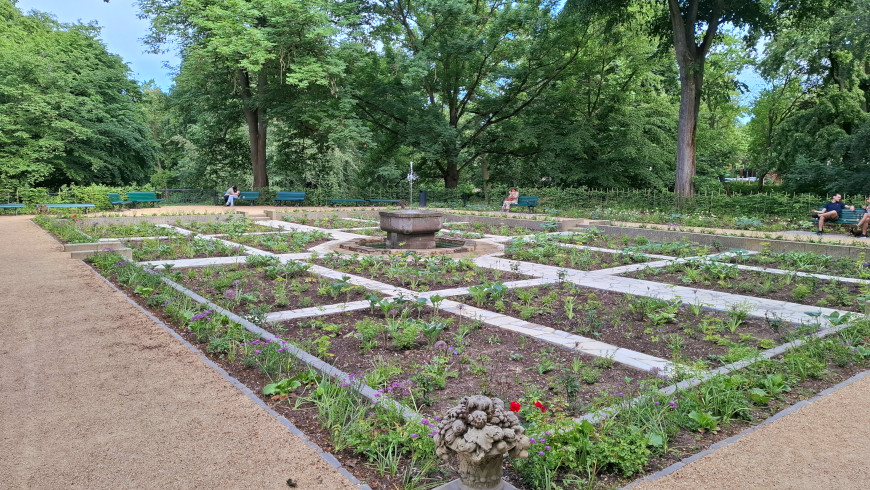 Der sanierte Rosengarten des Franckeparks.