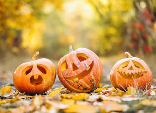 Halloween-Kürbisse
